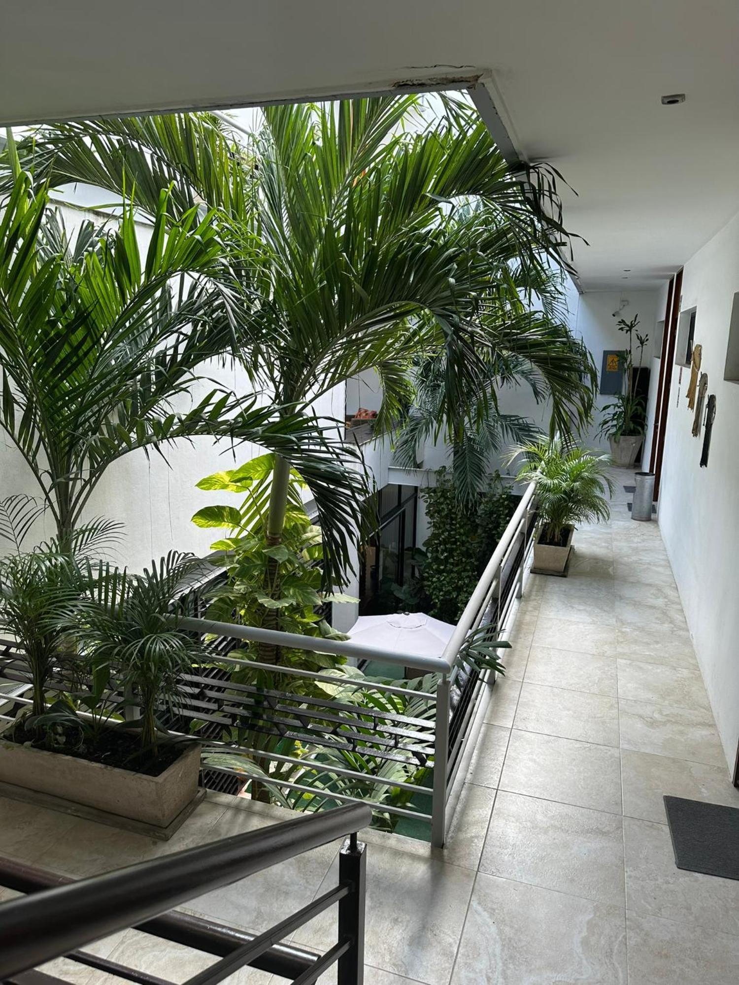 Hotel Boutique Murana 3*